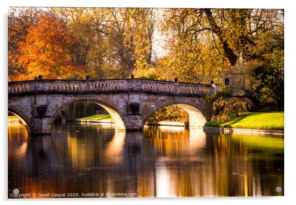 Autumn Cambridge Acrylic by David Caspar