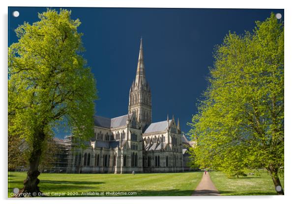 Salisbury Cathedral Acrylic by David Caspar