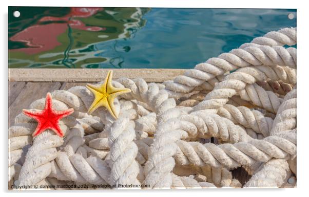detail of a rope for mooring with two sea starfish Acrylic by daniele mattioda