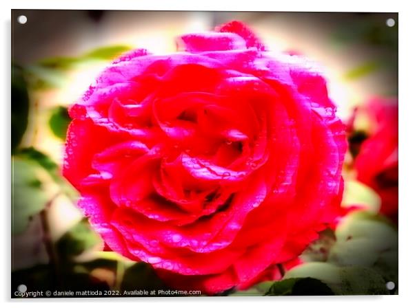 MOTION COLOR of a rose Acrylic by daniele mattioda