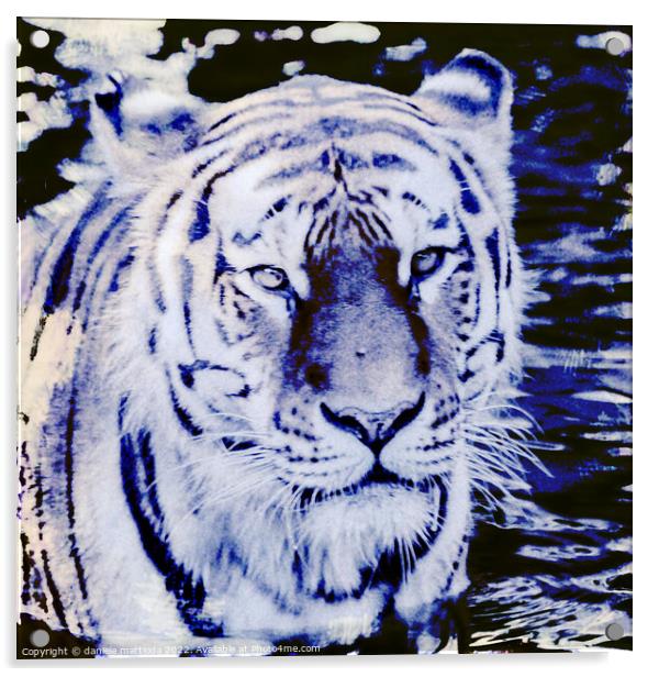 CYANOTYPE EFFECT on the glance of a siberian tiger Acrylic by daniele mattioda