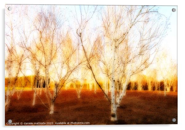 EFFECT ORTON on expanse of birch trees in a field  Acrylic by daniele mattioda