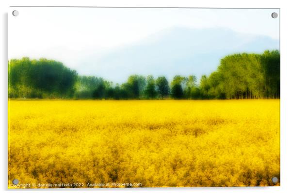 EFFECT ORTON on a field of yellow rapeseed flowers illuminated by the sun  Acrylic by daniele mattioda