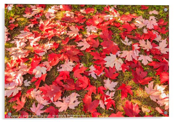 chromatic magic of the autumn Acrylic by daniele mattioda