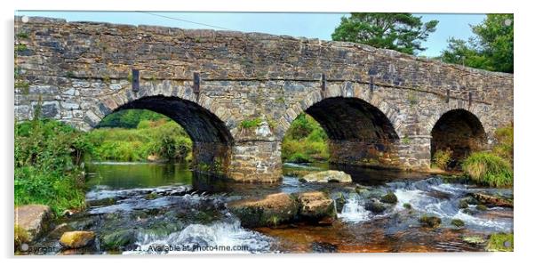 Postbridge, Dartmoor Acrylic by Michele Davis