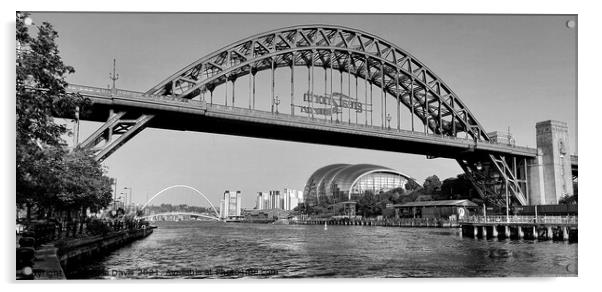 Tyne Bridges Monochrome Acrylic by Michele Davis