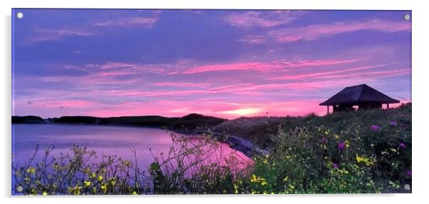 Fleetwood Boating Lake Sunset Acrylic by Michele Davis