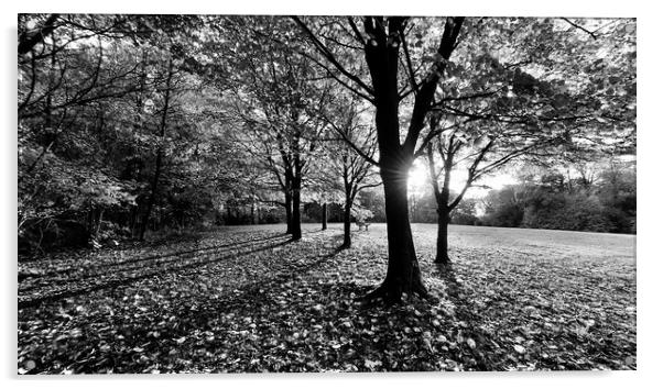 Autumn Preston Park, Mono Acrylic by Michele Davis