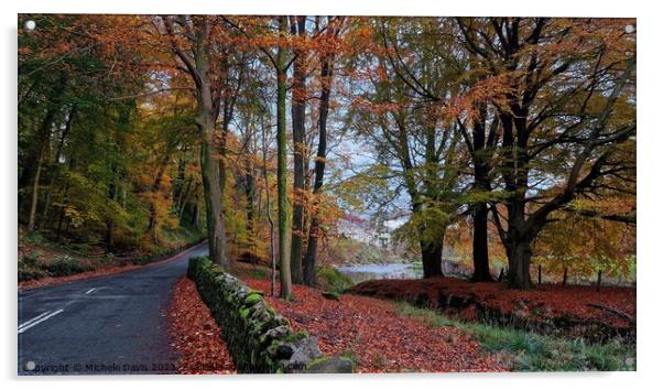 Autumn Whitewell Acrylic by Michele Davis