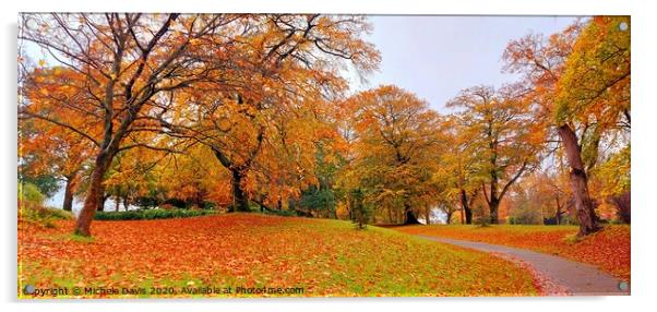 Autumn leaves Acrylic by Michele Davis