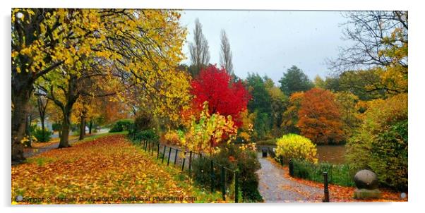 Autumn trees Acrylic by Michele Davis