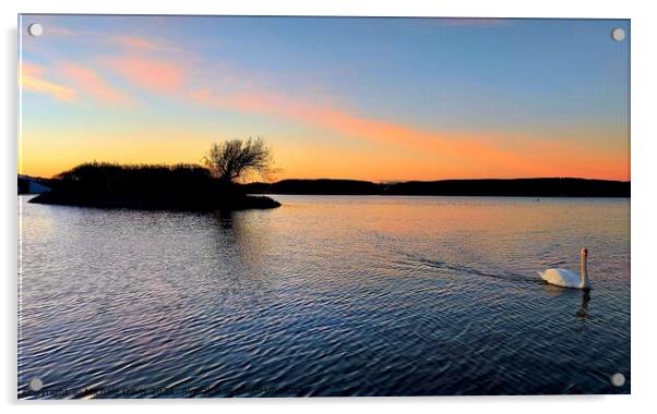 Sunset Fleetwood Boating Lake Acrylic by Michele Davis