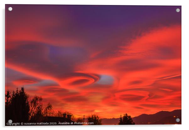 a pink  sunset  of lenticular clouds Acrylic by susanna mattioda