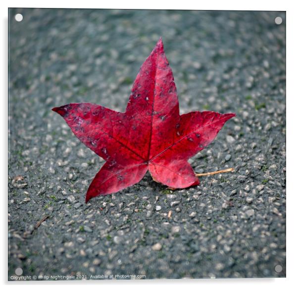 Autumnum Acrylic by Philip Nightingale