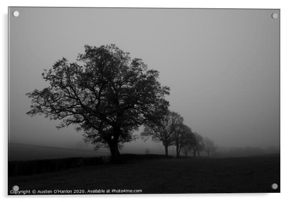 Uley mists Acrylic by Austen O'Hanlon