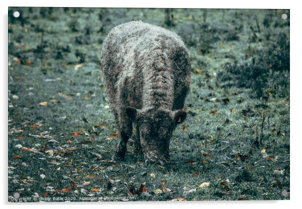 sheep in a field Acrylic by olsker Batle