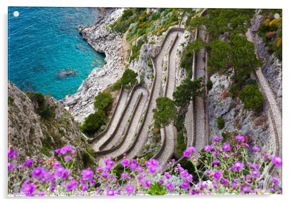 Capri, Via Krupp, Italy. Acrylic by Antonio Gravante