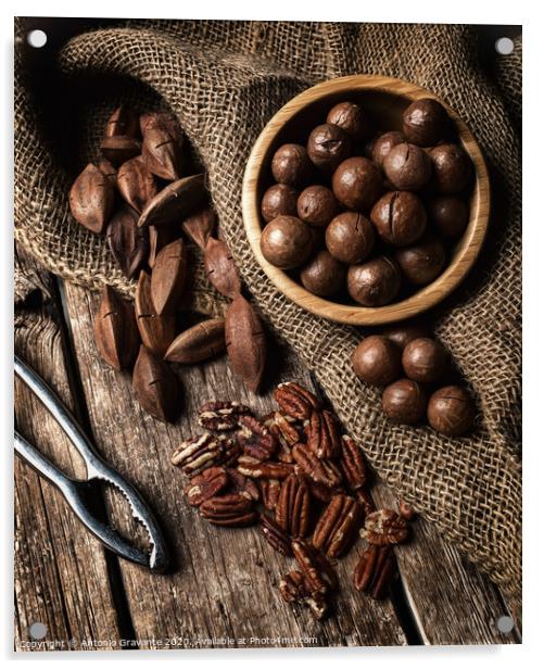 Macadamia, Pecan and Pili nuts on wooden table Acrylic by Antonio Gravante
