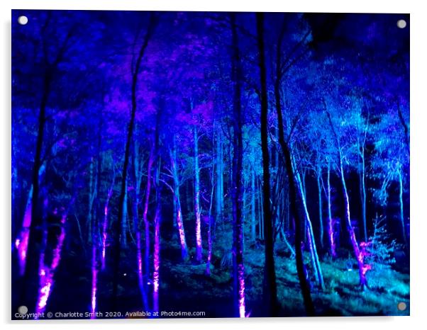 Enchanted Forest Acrylic by Charlotte Smith