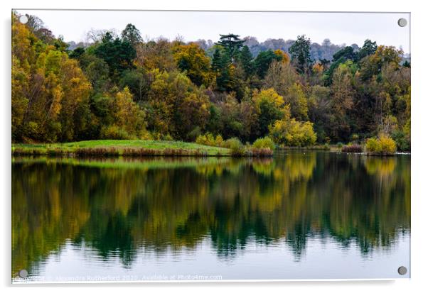 Woodland Lake Reflection Acrylic by Alexandra Rutherford