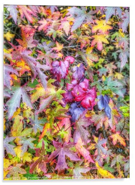Colourful Autumn Acrylic by Cris Thompson-Brooks