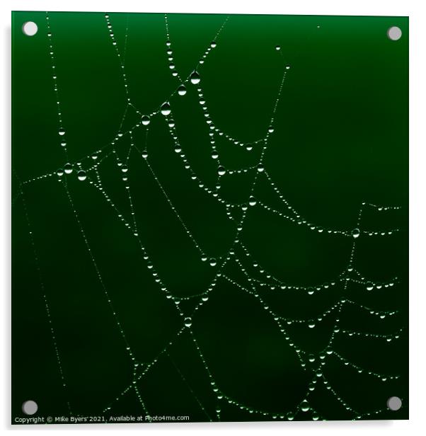 Enchanting Spider's Web Glistening with Dewdrops Acrylic by Mike Byers