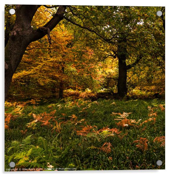 "Enchanting Autumn Tapestry" Acrylic by Mike Byers