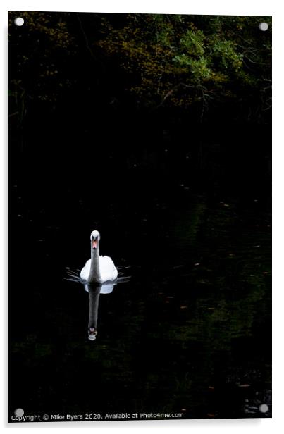 "Graceful Swan Glides Through Autumn Serenity" Acrylic by Mike Byers