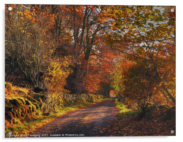 Highland Autumn Splendour October Trail Glenlivet Upper Speyside Scotland Acrylic by OBT imaging