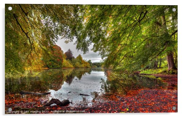 Emotion By The Lake Beech Tree Autumn Peace Acrylic by OBT imaging