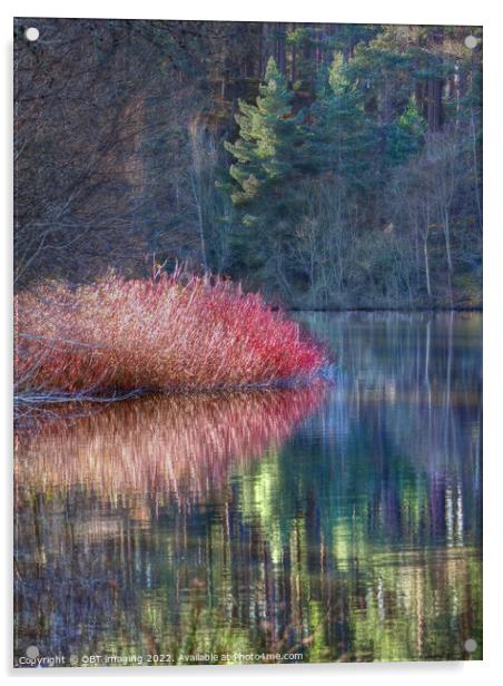 Winter Pink Pine Light Loch Reflection Highland Scotland Acrylic by OBT imaging