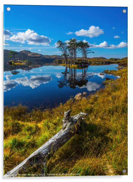 Loch Assynt Lochinver Road Pine Reflection North West Scotland Acrylic by OBT imaging