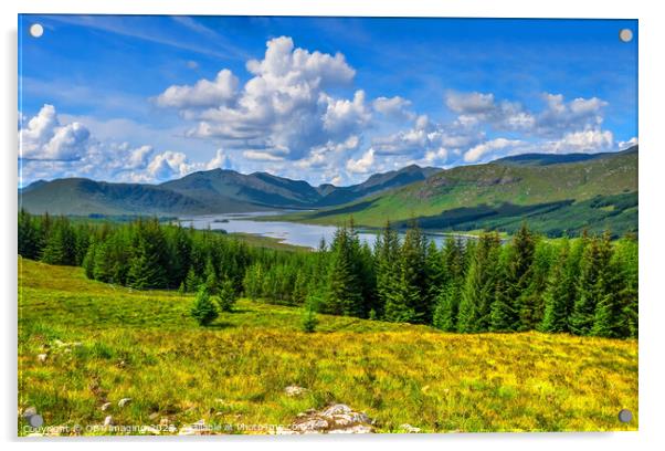 Majestic Highlands Acrylic by OBT imaging