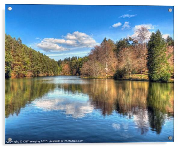 Reflections On A Fairy Tale Evergreen Loch Scottis Acrylic by OBT imaging