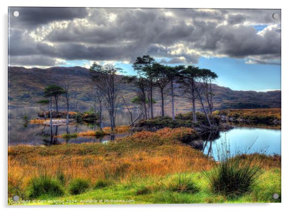 Loch Assynt Pine Trees Late Autumn Scottish Highlands Acrylic by OBT imaging