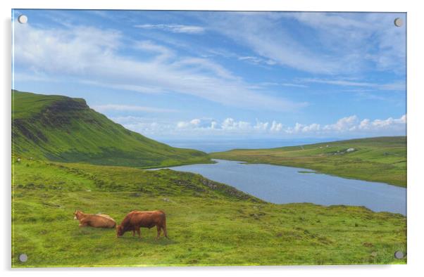 Isle Of Skye Beyond Glendale Scotland Acrylic by OBT imaging
