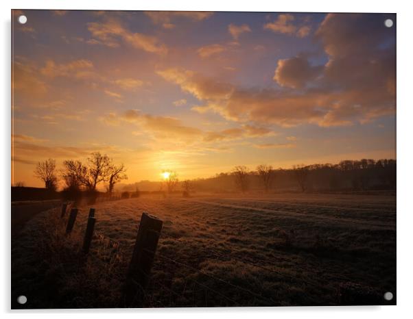 Misty Meadow Arlescote Warwickshire Acrylic by Michelle Bowler