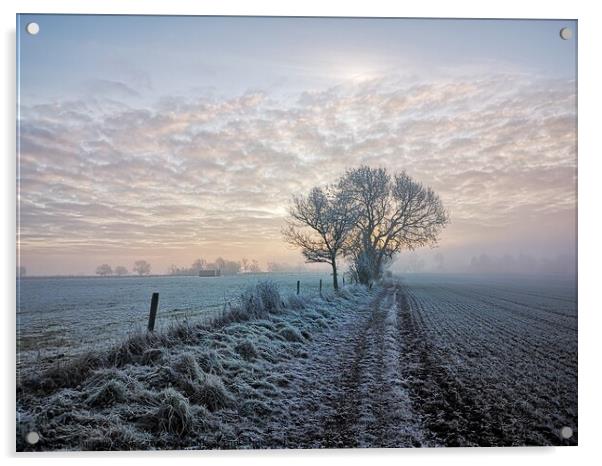 Mollington Misty Sunrise Acrylic by Michelle Bowler