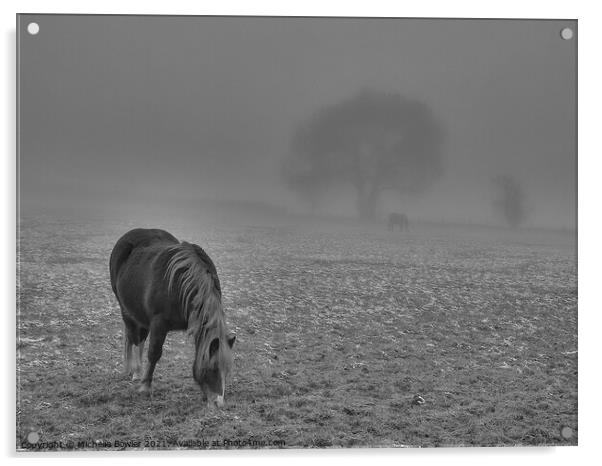 Black and white pony grazing in misty field Acrylic by Michelle Bowler