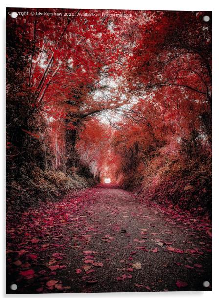 "Crimson Canopy: A Tranquil Autumn Journey" Acrylic by Lee Kershaw