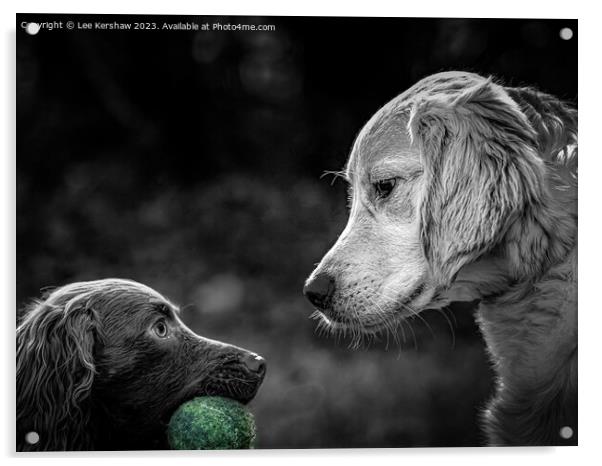 My Ball Acrylic by Lee Kershaw