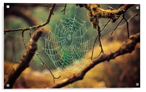 Spider's Web Acrylic by Lee Kershaw
