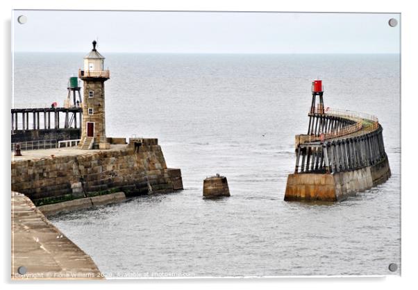 View of whitby piers and lighthouses from the clif Acrylic by Fiona Williams
