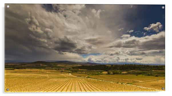 Storms approach over Rioja vineyards  Acrylic by Andy Dow