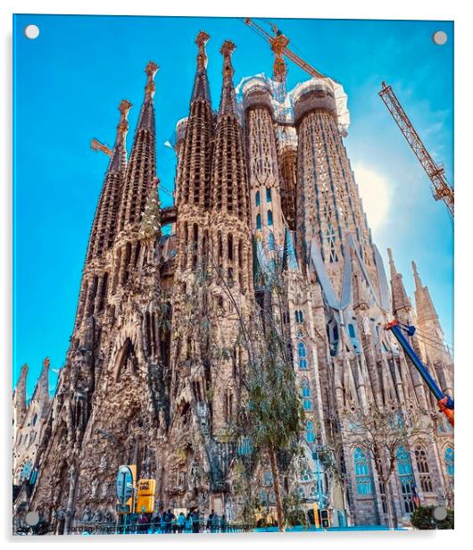 The Sagrada Família Acrylic by Jordan Mincher
