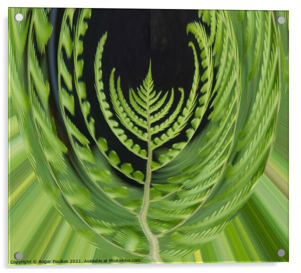 Plant leaves Fern Mouse Eye View Acrylic by Roger Foulkes