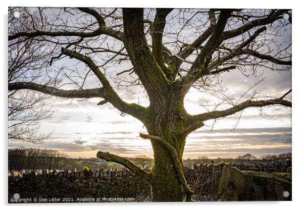 The glow of the Oak tree, Rivington in Lancashire  Acrylic by Dee Lister