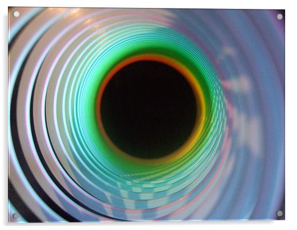 Slinky  Acrylic by Holly Crawshaw