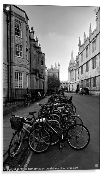 The Bicycles  Of Oxford Acrylic by Sheila Ramsey