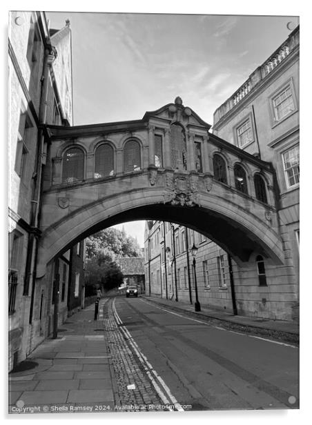 Hertford Bridge Oxford Acrylic by Sheila Ramsey